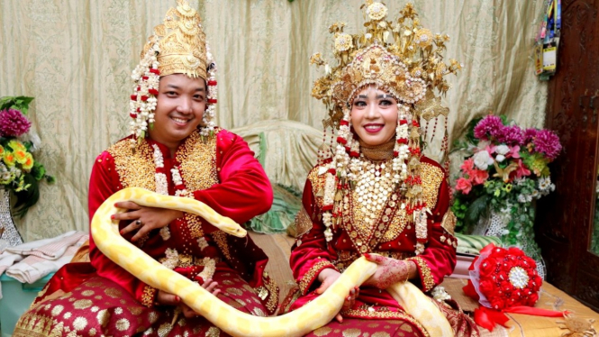 Heboh pengantin bawa ular saat resepsi pernikahan di Palembang