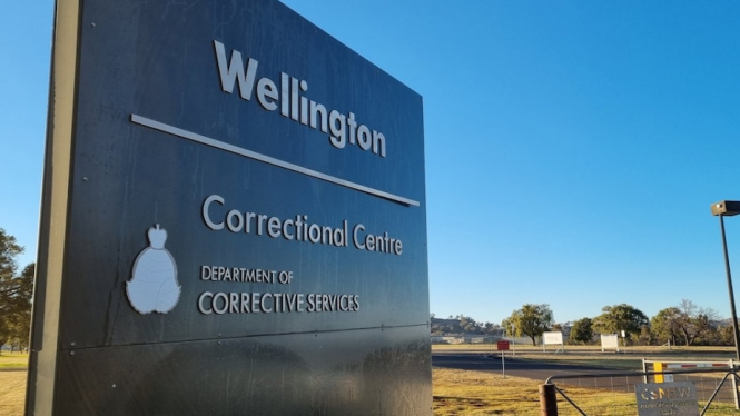 Bangkai tikus, tikus yang menggigit kabel dan merusak plafon menyebabkan Wellington Correctional Centre harus dibersihkan. (ABC Western Plains: Nick Lowther)