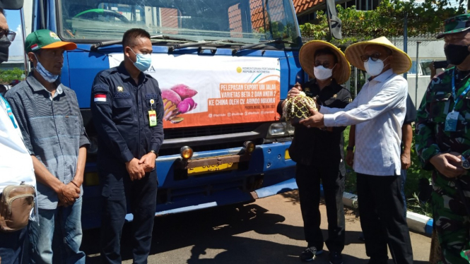 Menteri Pertanian Syahrul Yasin Limpo melepas pengiriman ekspor ubi ke China.