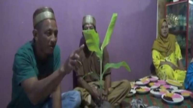Pohon kepala bertunas daun pisang gegerkan warga di Jambi