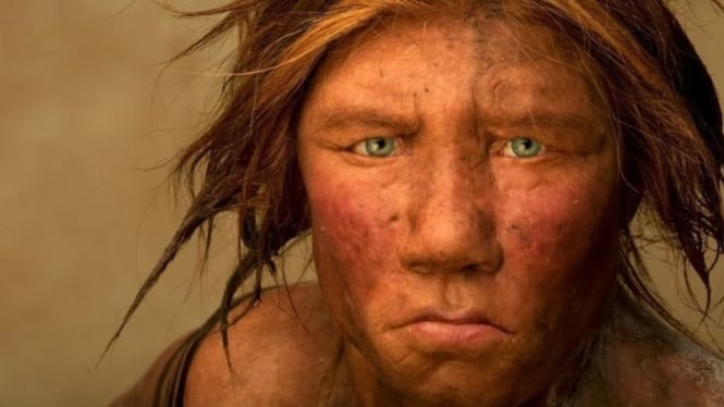 Nenek moyang manusia modern. Getty Images via BBC Indonesia