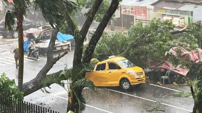 Sebuah mobil angkutan umum tertimpa pohon tumbang hingga menewaskan dua orang di dalamnya di depan kompleks RSUPH Adam Malik, Kota Medan, Sumatera Utara, Senin petang, 28 Juni 2021.