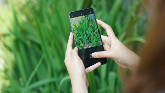 Fitur di Oppo Reno 6 Punya Efek Layaknya Film Hollywood