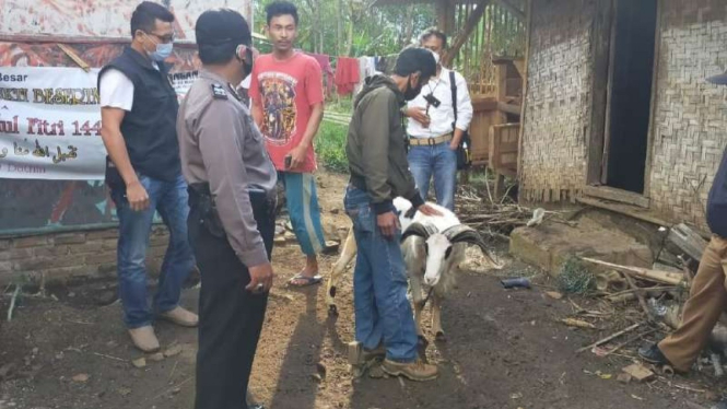 Pencuri domba untuk jadi kurban Idul Adha ditangkap