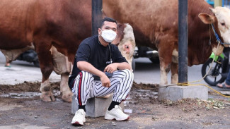 Beli 1110 Ekor Hewan Kurban, Putra Siregar Dapat Rekor MURI