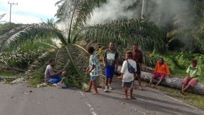 Warga sejumlah Distrik di Kabupaten Manokwari melakukan aksi blokade jalan untuk memprotes kabar bohong kematian Gubernur Papua Barat, Rabu, 28 Juli 2021.