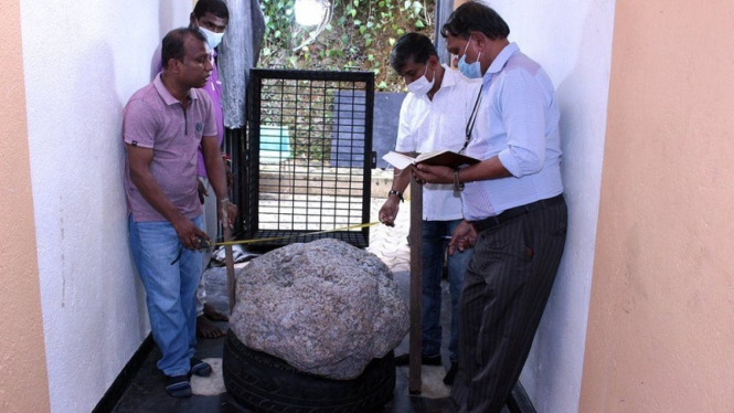 Pekerja di Sri Lanka menemukan bongkahan batu permata safir saat menggali sumur