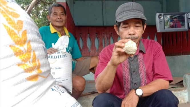 Warga Kelurahan Pandeglang, Banten menerima beras tak layak dikonsumsi.