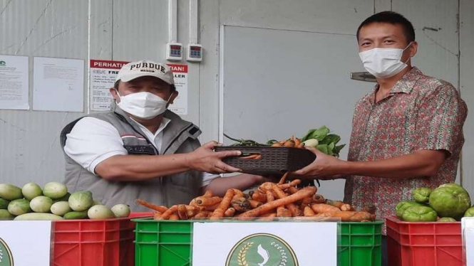 Bantuan sayur mayur untuk pakar satwa di Kebun Binatang Bandung