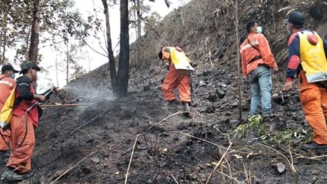 Tim Manggala Agni Daerah Operasi Sumatera I Sibolangit berusaha memadamkan kebakaran hutan dan lahan di perbukitan Danau Toba, Desa Tongging, Kecamatan Merek, Kabupaten Karo, Sumatera Utara, Sabtu siang, 7 Agutus 2021.