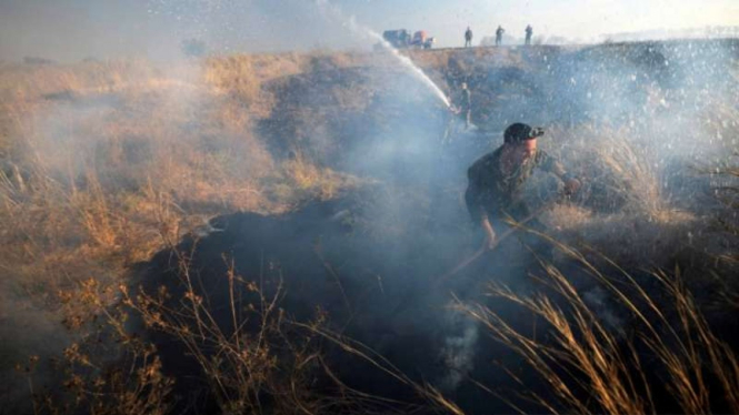 Arsip - Tentara Israel berupaya memadamkan api di wilayah warga Palestina menyebabkan kobaran api dengan melemparkan balon penuh dengan benda mudah terbakar, di perbatasan Israel dan Jalur Gaza, bagian Israel, Jumat, 21 Agustus 2020.