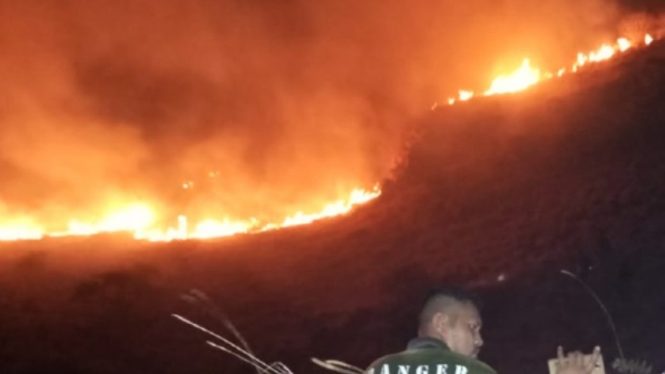 Padang savana di kawasan Taman Nasional Komodo terbakar.