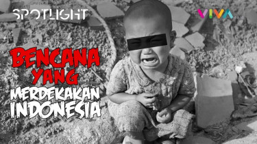 VIVA Spotlight