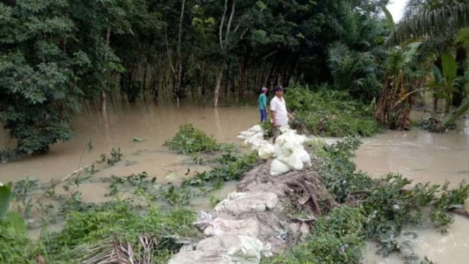 Warga mengecek perbaikan tanggul yang jebol dan menyebabkan banjir di Kabupaten Batubara, Sumatera Utara, Kamis, 19 Agustus 2021.