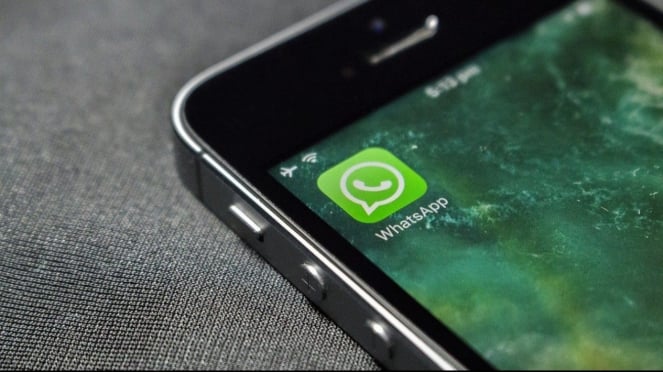 WhatsApp Has Good News for Android and iOS Users