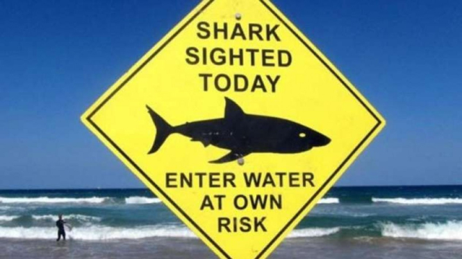 Peringatan ancaman serangan hiu