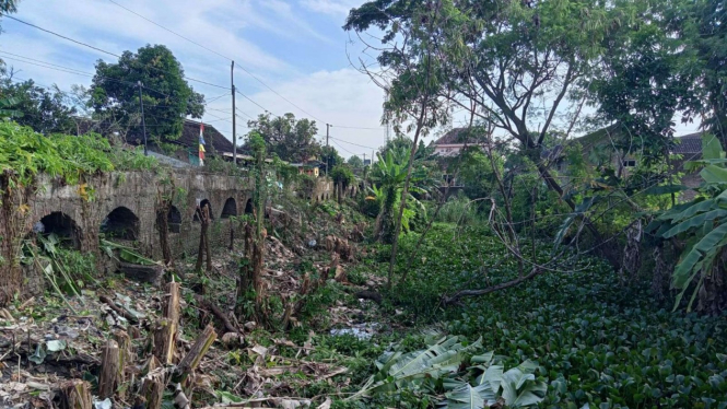 Terowongan air kuno di Klaten, tempat ditemukannya ikan Tomang Green dan Bulus.