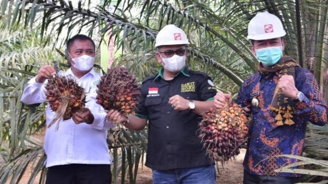 Hasil panen petani sawit (Foto/DPP APKASINDO)