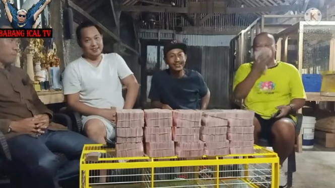 Viral Burung Merpati Dijual Seharga Rp 1,5 Miliar (YouTube/Babang Ical TV)