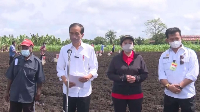 Presiden Jokowi mengunjungi kebun jagung di Sorong, Papua Barat.