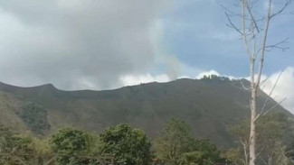 Bukit Pergasingan di Sembalun Lombok Timur Dilahap Si Jago Merah