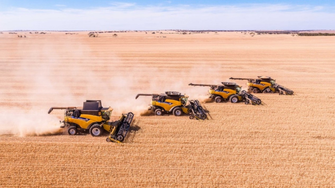 Mayoritas pegawai negeri pada Departemen Regional negara bagian New South Wales menyatakan akan mengambil cuti berbayar untuk membantu panen hasil pertanian. (ABC News: Charles Brice)