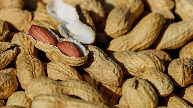 Kacang Tanah.
