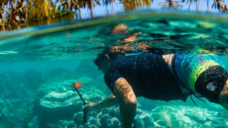 Pulau Asu, Salah Satu Rekomendasi Wisata di Nias