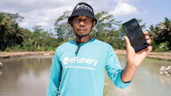 Peternak ikan menggunakan aplikasi efishery untuk bantu pakan.