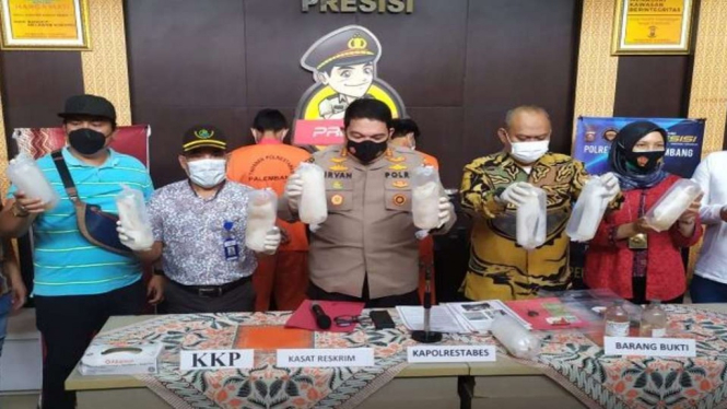 Kepala Polrestabes Palembang Kombespol Irvan Prawira Satyaputra didampingi Kepala Pengawas Data dan Informasi Badan Karantina Ikan Pengendalian Mutu dan Keamanan Hasil Perikanan Palembang dalam ungkap kasus penyelundupan benih lobster di Mapolres, Jumat, 