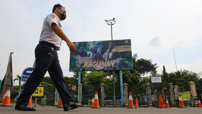 Ragunan Buka Wisata Malam Hari, Apa Saja yang Bisa Dinikmati Pengunjung?