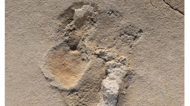 Jejak kaki Trachilos di Kreta, yang berusia 6,05 juta tahun, mempertanyakan teori bahwa nenek moyang manusia berasal dari Afrika. BBC Indonesia