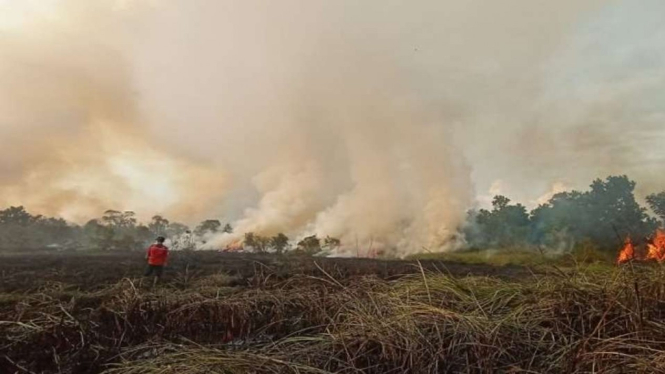 Badan Penanggulangan Bencana Daerah (BPBD) Kabupaten Ogan Ilir lakukan pemadaman di lahan rawa dan sawit seluas 29 hektare yang terbakar pada Senin, 25 Oktober 2021.