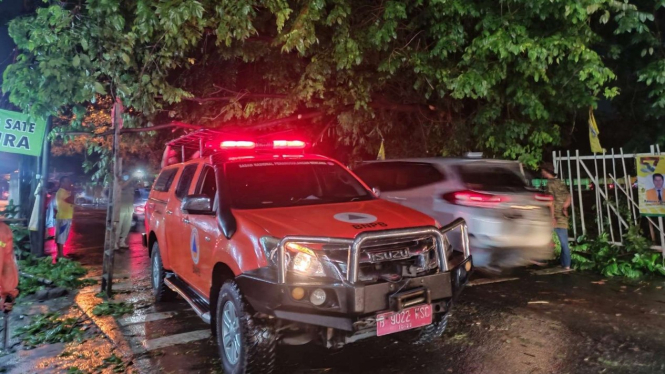 Petugas mengevakuasi pohon tumbang di Bekasi, jawa Barat.