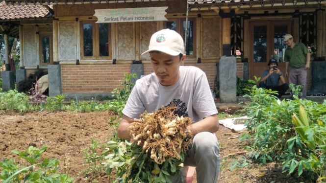 Marlan Ifantri Lase  (27), seorang petani di Nias, menyebut perubahan iklim telah menyebabkan kemarau berkepanjangan sehingga merugikan hasil panennya. (Supplied: Marlan Ifantri Lase)