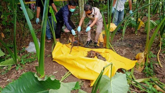Penemuan tulang belulang manusia di Serang, Banten.