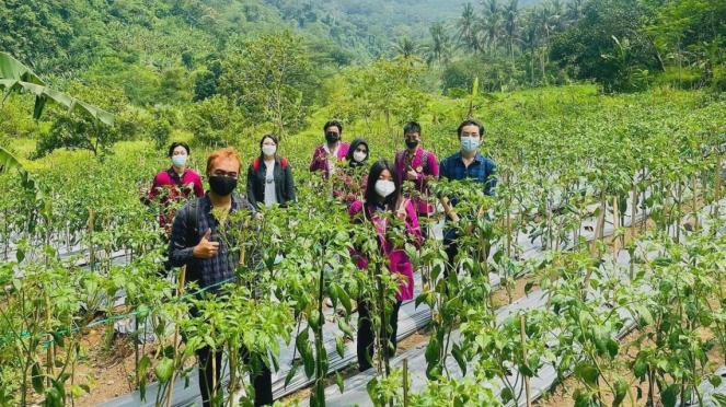 Milenial Wajib Paham Pertanian, Bisa Bedakan Makanan Jadi Obat Dan ...