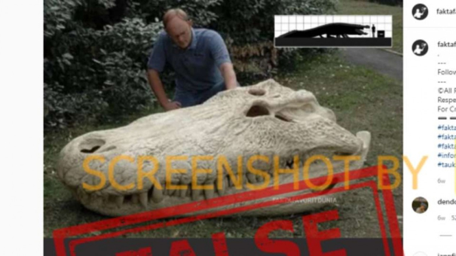 Tangkapan layar (screenshot) sebuah akun Instagram yang memperlihatkan satu foto yang diklaim sebagai tengkorak Purussaurus, salah satu buaya terbesar yang pernah hidup di Bumi.