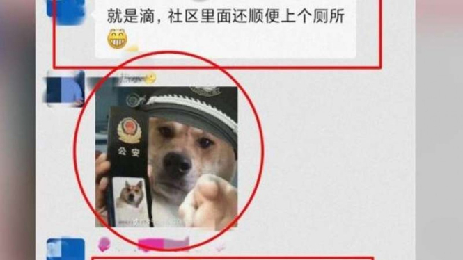 Meme menghina polisi di grup chat di China tersandung hukum