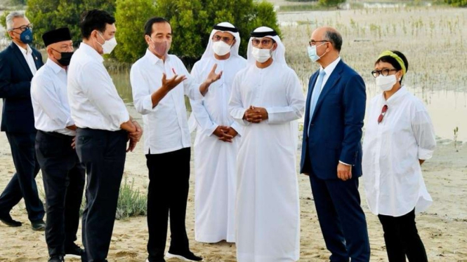 Presiden Jokowi di Jubail Mangrove Park, Abu Dhabi.