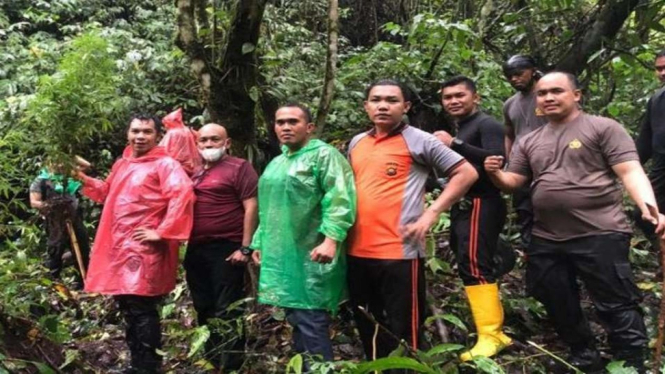 Polisi menemukan ladang ganja tempat penyemaian tanamam ganja di dalam di Hutan Adat, Desa Lempur Mudik, Kecamatan Gunung Raya, Kabupaten Kerinci, Provinsi Jambi, Kamis sore, 4 November 2021.