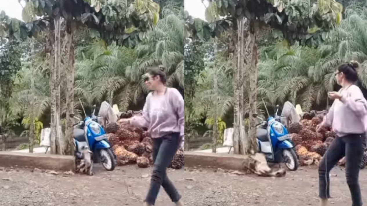 Viral Wanita Joget Dengan Kambing Netizen Marah Halaman 2