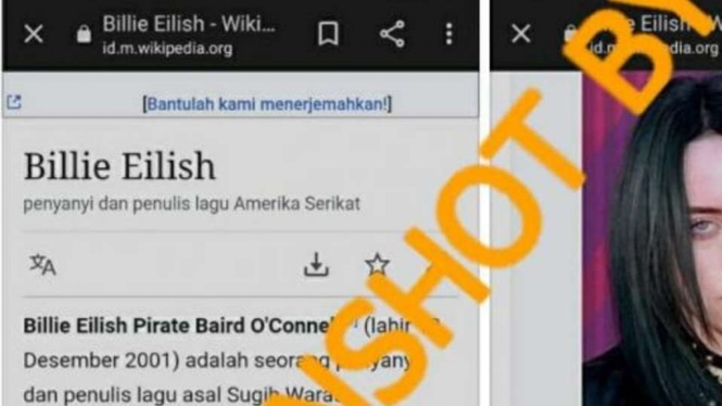 Tangkapan layar (screenshot) sebuah akun yang menampilkan halaman profil penyanyi Billie Eilish yang disebut lahir di Nganjuk, Jawa Timur.