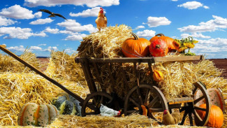 8 Fakta Unik Perayaan Thanksgiving, Ada Menu Kalkun