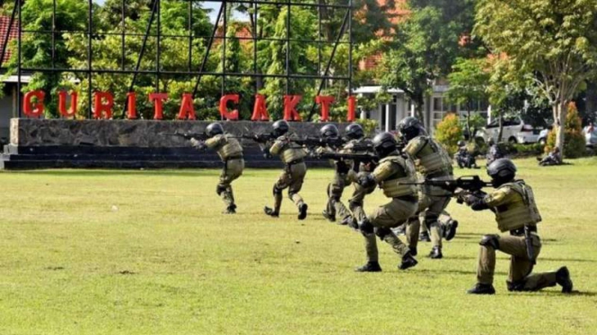 VIVA Militer: Pasukan Yonif 5 Marinir/Gurita Cakti melancarkan serangan kilat