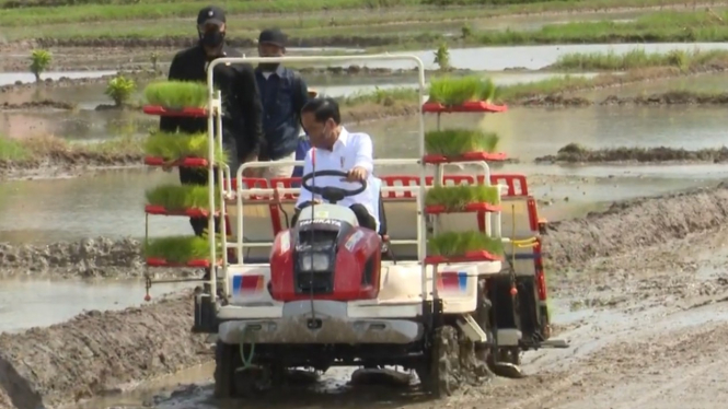 Presiden Jokowi tanam padi bersama petani di Jawa Timur.