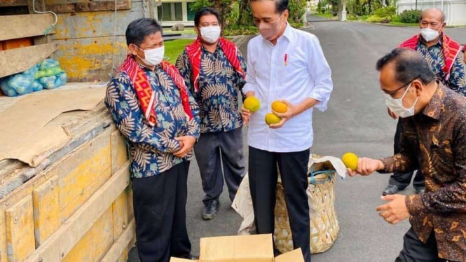 Presiden Jokowi saat menerima jeruk dari warga Karo, Sumut.
