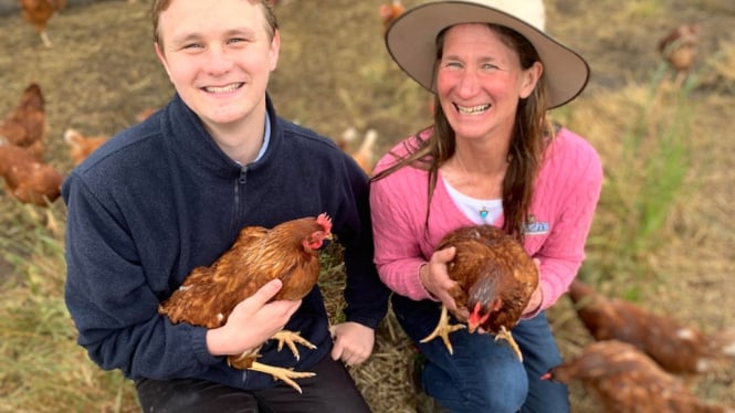Josh Murray mendirikan bisnis telurnya pada usia sembilan tahun.Â  (ABC Rural: Eden Hynninen)
