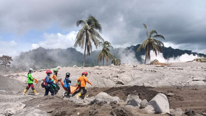 Tim SAR mengevakuasi jenazah korban bencana erupsi Semeru. 