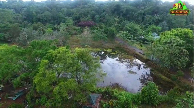 Kebun Daya Unmul